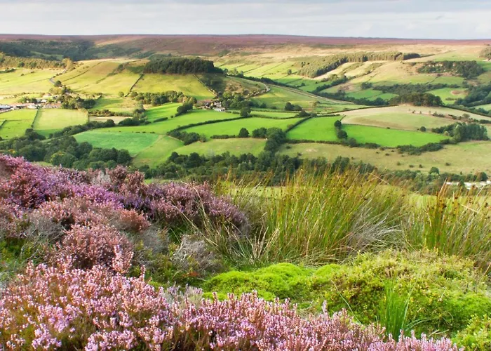 Dovecote House - Luxury Town House - Dog Friendly