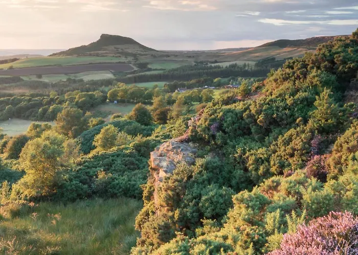 Dovecote House - Luxury Town House - Dog Friendly Holiday home *