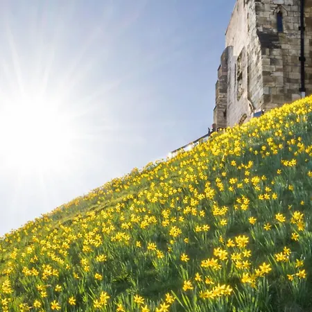 Dovecote House - Luxury Town House - Dog Friendly York