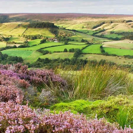 Dovecote House - Luxury Town House - Dog Friendly