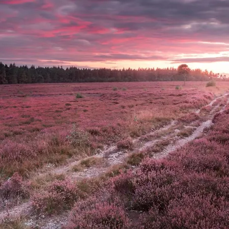 Dovecote House - Luxury Town House - Dog Friendly بيت للعطل يورك