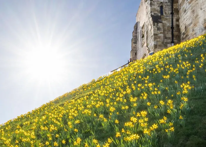 Dovecote House - Luxury Town House - Dog Friendly York