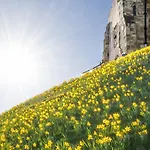 Dovecote House - Luxury Town House - Dog Friendly York