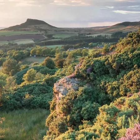 Dovecote House - Luxury Town House - Dog Friendly 펜션 *